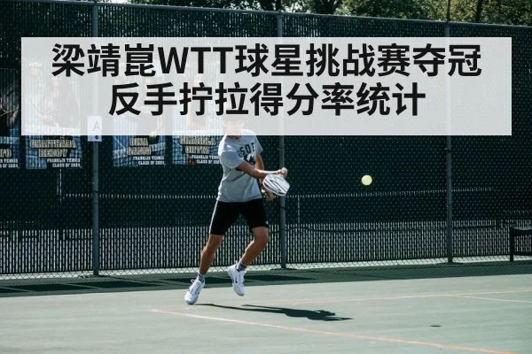 梁靖崑WTT球星挑战赛夺冠 反手拧拉得分率统计